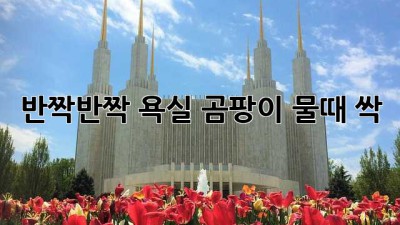 ✨반짝반짝 욕실✨ 곰팡이 물때 싹!