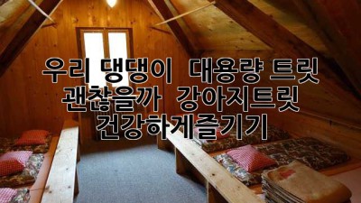 우리 댕댕이 🐶 대용량 트릿, 괜찮을까? 🤔 #강아지트릿 #건강하게즐기기