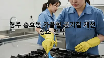 경주 충효동 가을철 공기질 개선 청소 전략